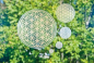 Preview: Blume des Lebens - Aufkleber 13,5 cm - Kopie