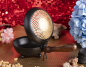 Preview: navire porteur soleil