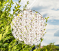 Preview: Fleur de vie en cristal, pierres de verre facettées