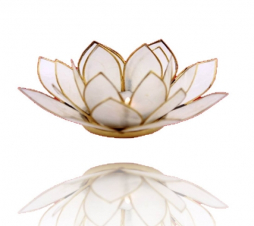 Ambiente Lotus Kerzenhalter Capiz-Muschel mit Rand, naturfar (Grösse: 13.5 cm)
