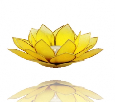 Lotus Chakra avec le bord de la lumière, citringelb