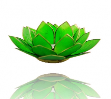 Chakra Lotus Licht mit Rand, Capiz, smaragdgrün (Grösse: 13.5 cm)