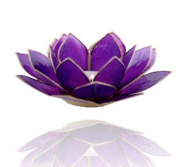 Lotus Chakra avec le bord de la lumière, Capiz, amethystviolet