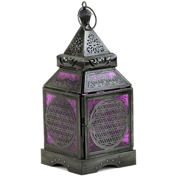 Fleur de vie de lanterne asiatique atmosphérique