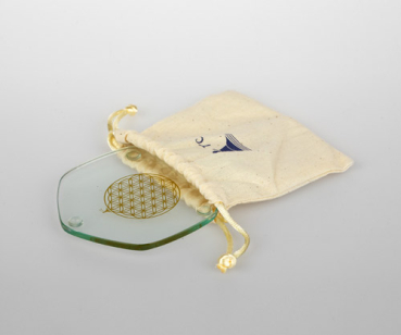 Voyager plaque en or dans le sac
