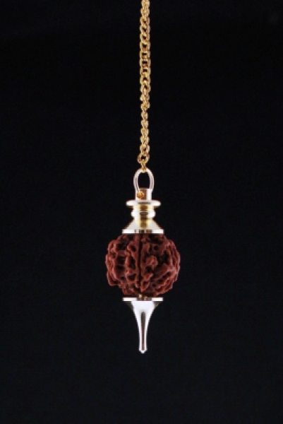 Rudraksha Pendel goldfarbig