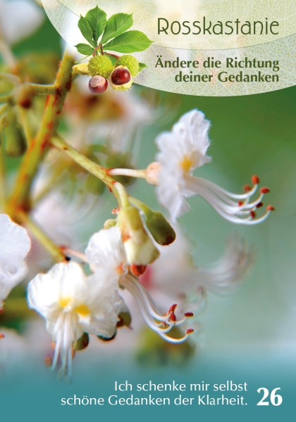 Baumgefährten - Orakelkarten v. Isabel Arends