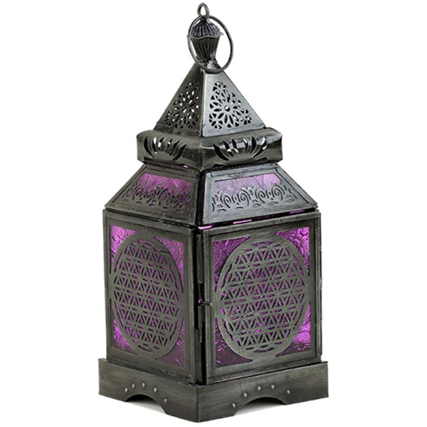 Fleur de vie de lanterne asiatique atmosphérique