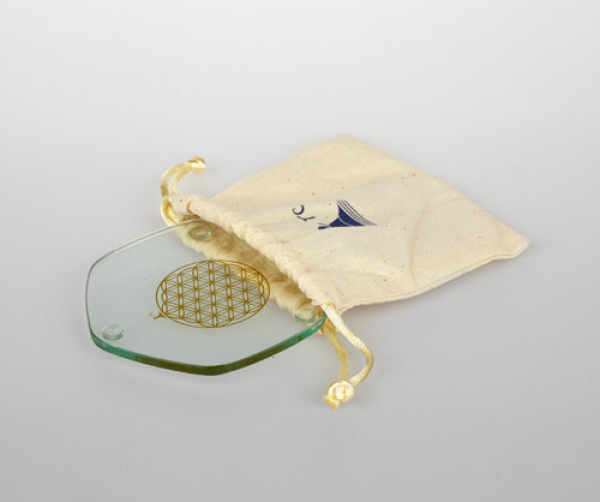 Voyager plaque en or dans le sac